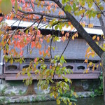 ＨＡＮＡ吉兆 - 2013年11月