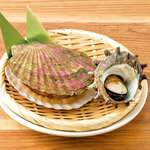 Assortment of 2 types of grilled live shellfish (live scallops, live turban shells)