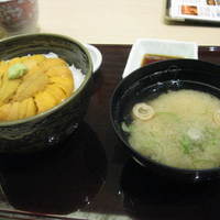 函館うに むらかみ 日本生命札幌ビル店 - うに丼￥２９００