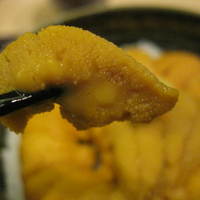 函館うに むらかみ 日本生命札幌ビル店 - 大粒のうに