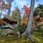 京都大原三千院 - 苔と紅葉はイイグラデーションですね。