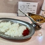 タンドゥール - インドカレーとご飯(中辛)