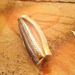 鮨 さいとう - こはだ