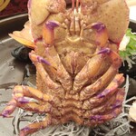 幸鮨 - くつエビちゃんの足がずっと動いていて、次男が怖いって！(苦笑)くつエビちゃんの裏側はパープルは混じり、芸術的な足の色合いが綺麗〜(笑)