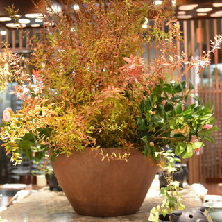 いちにいさん_2