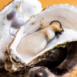 居酒屋 鳥とん - 北海道厚岸産牡蠣