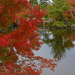 京都 吉兆 - 永観堂で紅葉を愛でてから〜