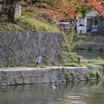 京都 吉兆 - 片脚で立つ大きな鳥