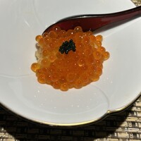 川崎 鮨 よこ田 - 