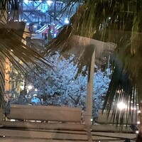 クイーン・アリス 横浜店 - 