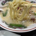 東北菜館 新辰 - 麺リフト