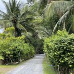 Blue Elephant Phuket - かなり広大な敷地です。