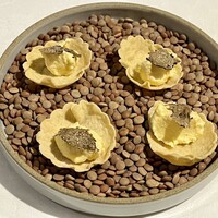 ヴォーロ・コズィ - 