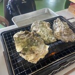 漁港食堂 だいぼ - 