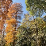 ピッツェリアGG - 秋の季節には井の頭公園