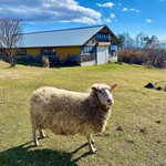日野水牧場 ファームハウス - 