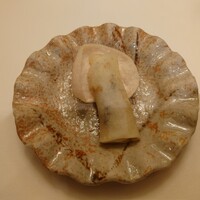 中国料理 彩龍 - 北京ダック