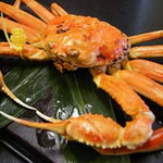Umi No Sachi Shokudokoro Echizen - 冬は活かに料理（越前がに・日本海産活ずわいがに）をお楽しみください。熱々の茹でがに、焼きがに、かに刺し、いろんなかに料理を堪能出来ます。