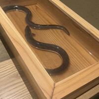 にょろ助 銀座 - 