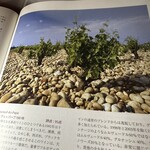 リシュリュゥ - 