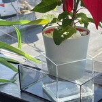 JiProign - 水枯れピンチ。