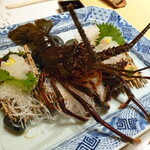 中納言 - 伊勢海老の活造り