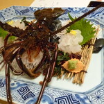 中納言 - 伊勢海老の活造り　脚とヒゲがピクピク