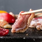 Satsuma Yakitori Sakaba Toritama - 鶏焼肉