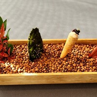 プレヴナンス - 