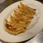 Meat meat Gyoza / Dumpling