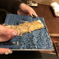 くずし鉄板 あばぐら 神田店 - 