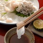 魚信旅館 - フグ刺身