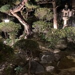 Za Kamon - 夜の日本庭園
