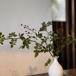 サノワ サロンドテ - 