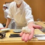 小松 弥助 - 赤烏賊