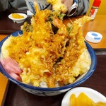 Tendon Tenya - 