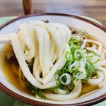 三角茶屋豊吉うどん - 肉うどん