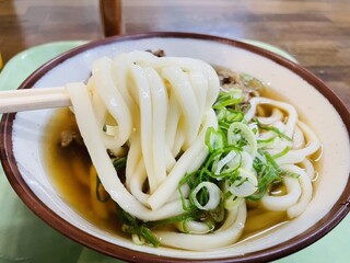 Sankakuchaya Toyokichi Udon - 肉うどん