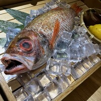 のどぐろ専門 銀座 中俣 - 