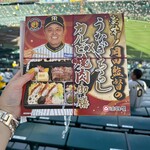 HANSHIN KOSHIEN STADIUM - 