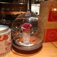 CINQ - 