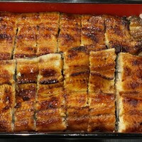 鰻 若松 - うな重（松）¥4400