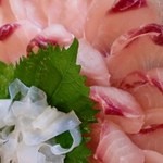 美しい鯉のアライ♪