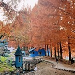 カフェ プイスト - 