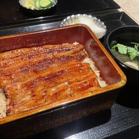 うなぎ 目白ぞろ芽 - 