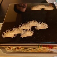 ツキと寿っぽん - 