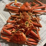 越前がにミュージアムショップ - 越前ズワイガニ・せいこがに