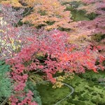 すき焼き キムラ - お庭もステキ