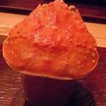 虎白 - 香箱蟹甲羅(2013-11)