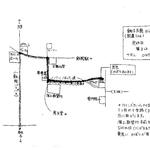 ぎょうざ茶包 - 